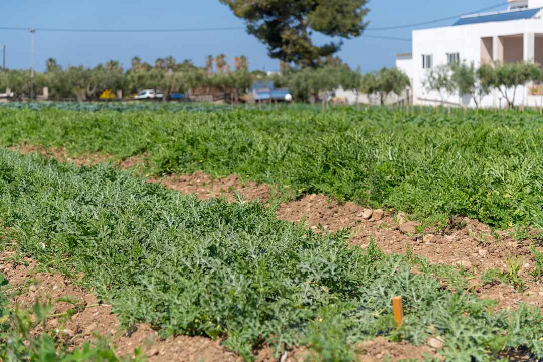 Gartenanlage Ilios K Village Resort