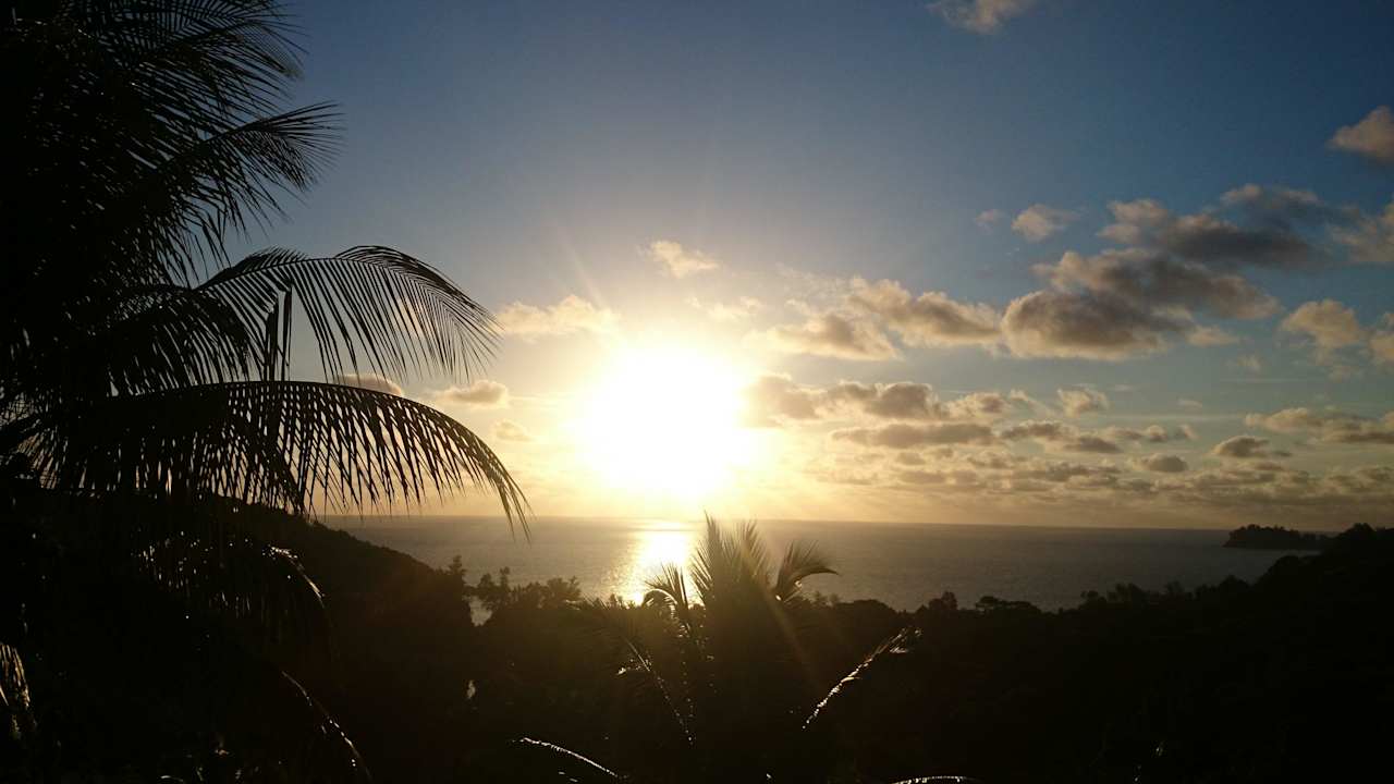 Aussicht von der Terrasse aus! Hotel Anse Takamaka View