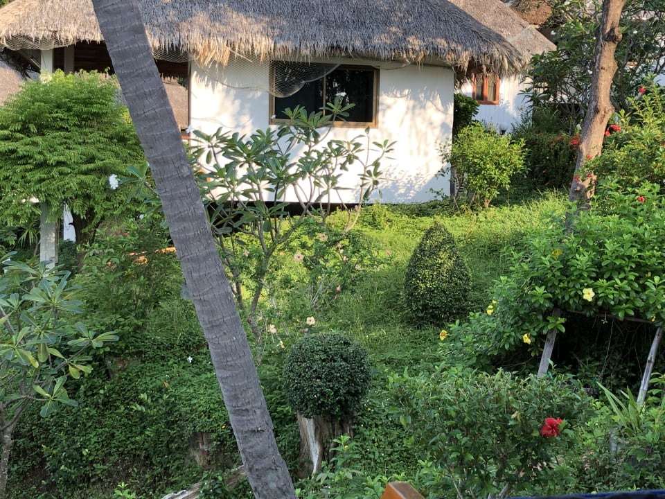 Gartenanlage Hotel Bay View Resort Lamai