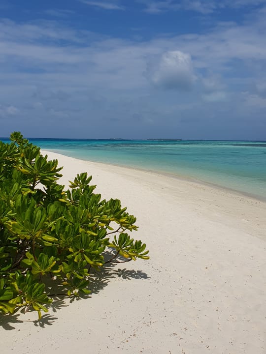 Strand Mirihi Island Resort