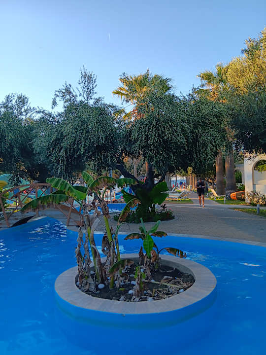 Pool TUI KIDS CLUB Alex Beach