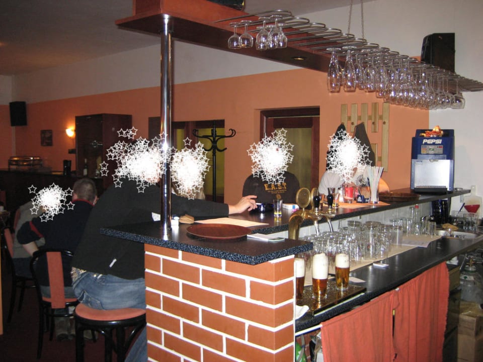 Die Bar des Hotels Hotel Lenka