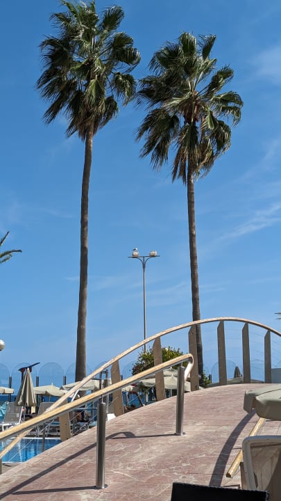 Ausblick CM Playa del Moro