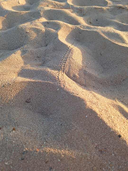 Strand Lotus Bay Beach Resort