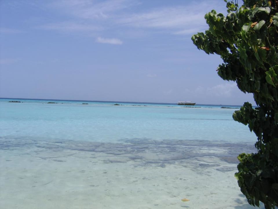 Rund um die Insel Summer Island Maldives