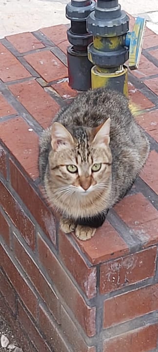 Sonstiges Limak Limra Hotel & Resort