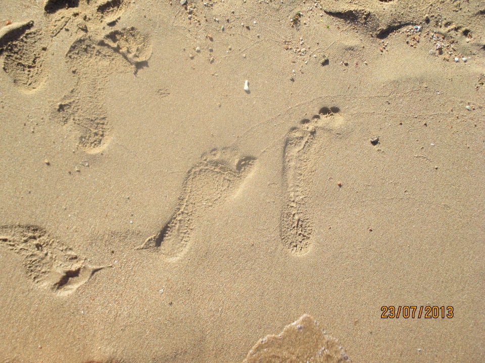 Sand Ghazala Gardens