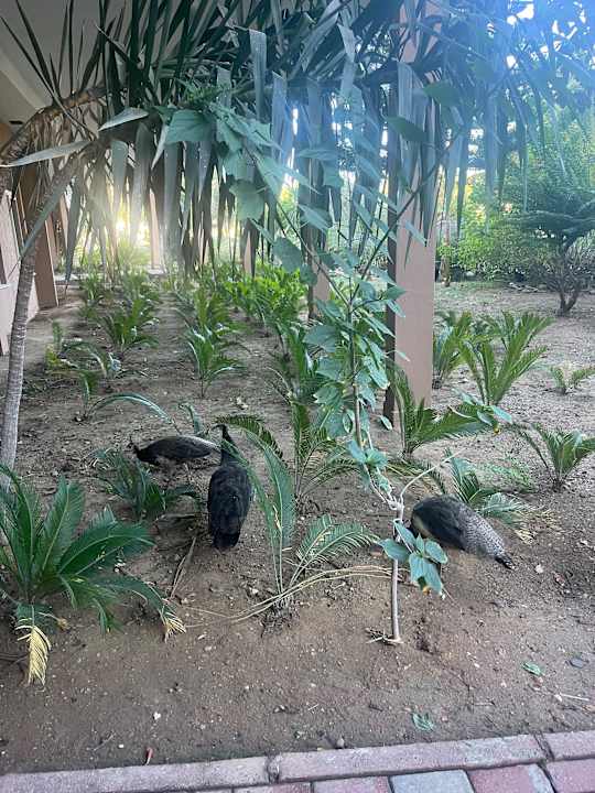 Außenansicht Seaden Sea World Resort & Spa