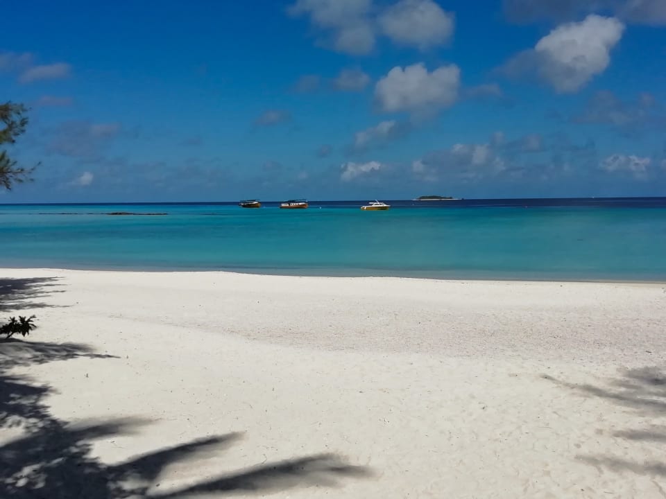 Strand Summer Island Maldives