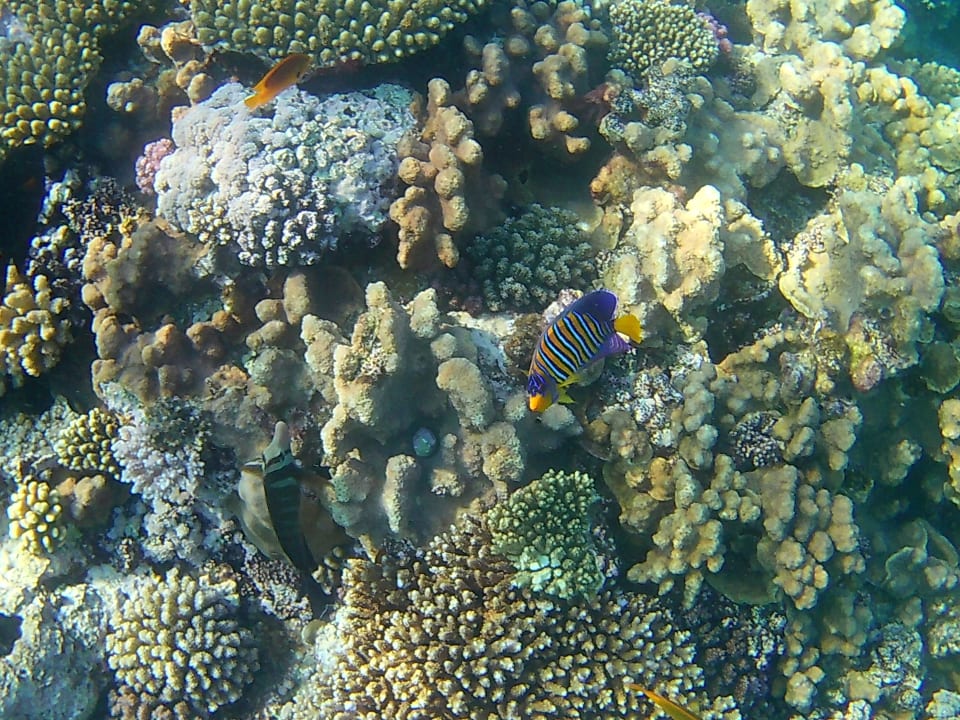 Strand Casa Mare Resort