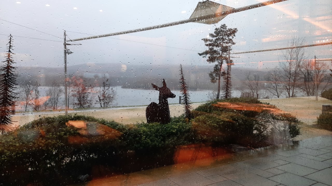 Ausblick Seezeitlodge Hotel & Spa