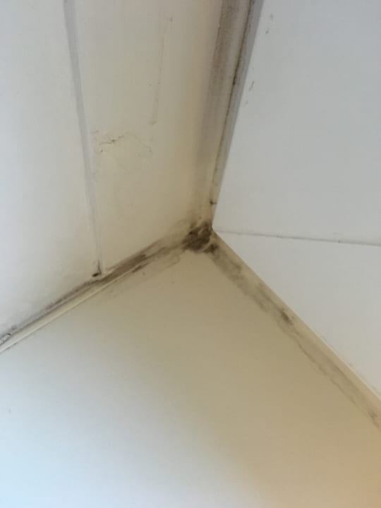 Zimmer B&B Hotel Heidelberg