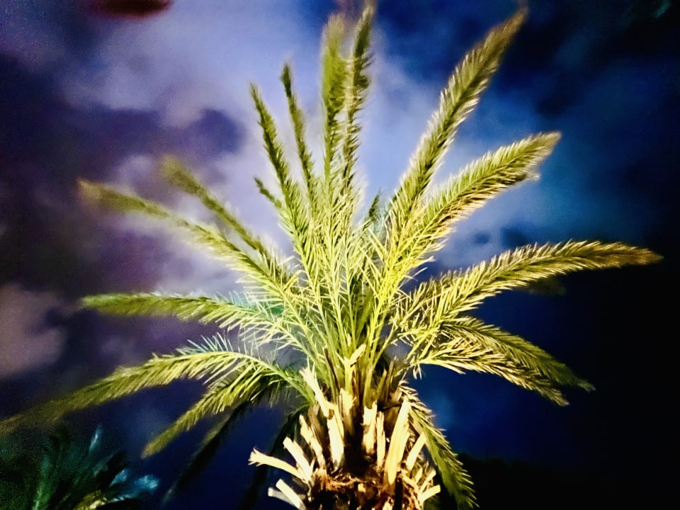 Gartenanlage Voyage Belek Golf & Spa