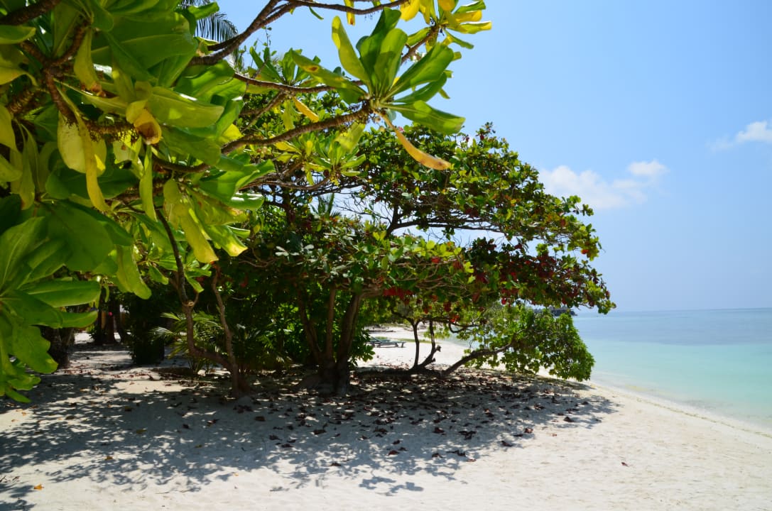 Strand Kuredu Island Resort & Spa