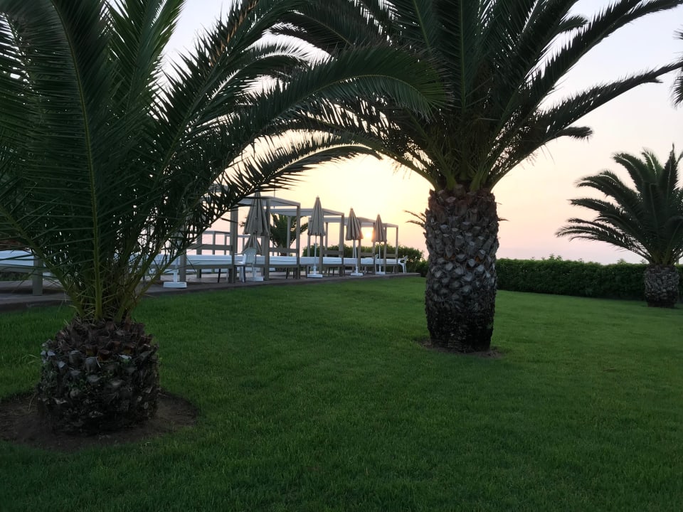 Gartenanlage Hotel Riu Palace Tenerife