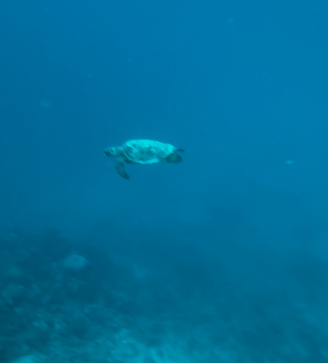 Strand Three Corners Sea Beach Resort