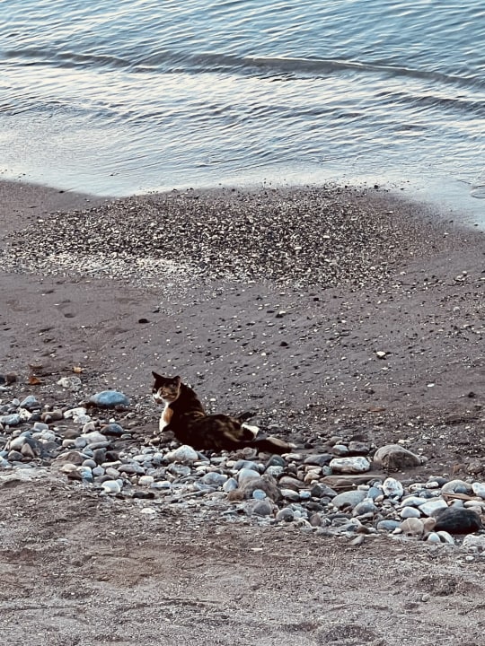 Strand Nirvana Mediterranean Excellence