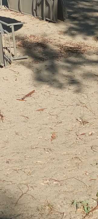 Strand Akrathos Beach Hotel