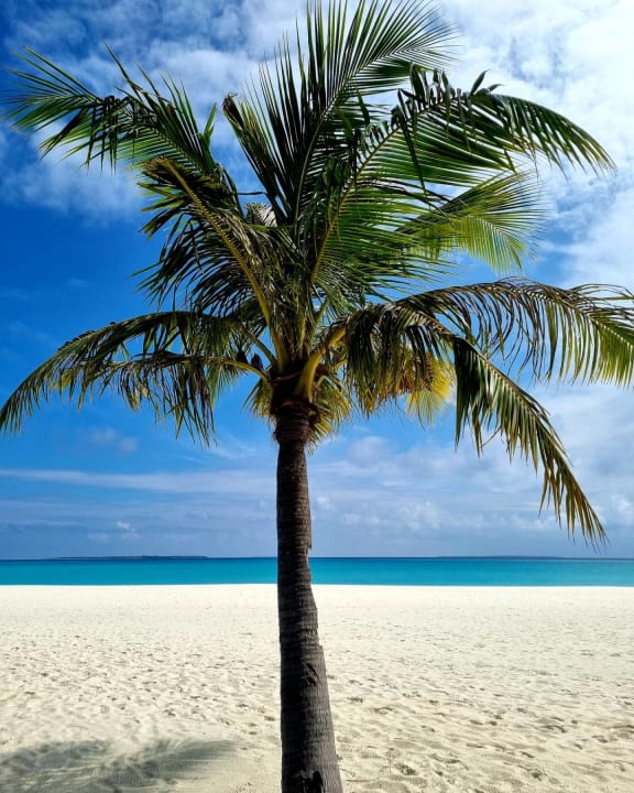 Strand Hondaafushi Island Resort