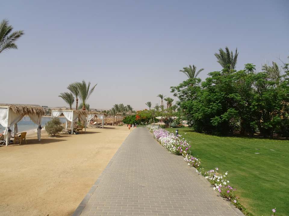 Gartenanlage Steigenberger Coraya Beach - Adults only