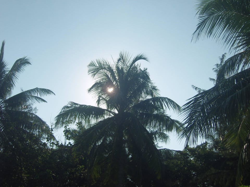 Schatten unverzichtbar Summer Island Maldives