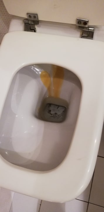 Zimmer Ghazala Gardens