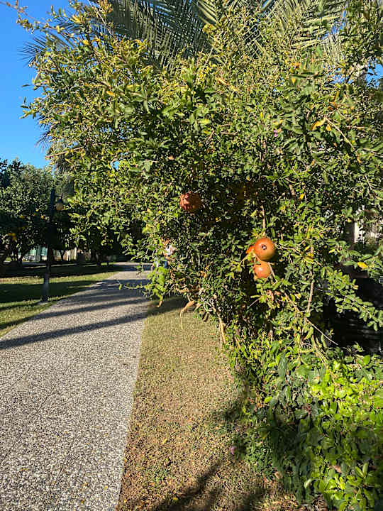 Gartenanlage Bella Resort & Spa