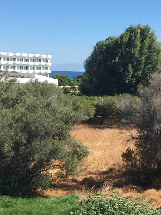 Sonstiges Hotel Memphis Beach