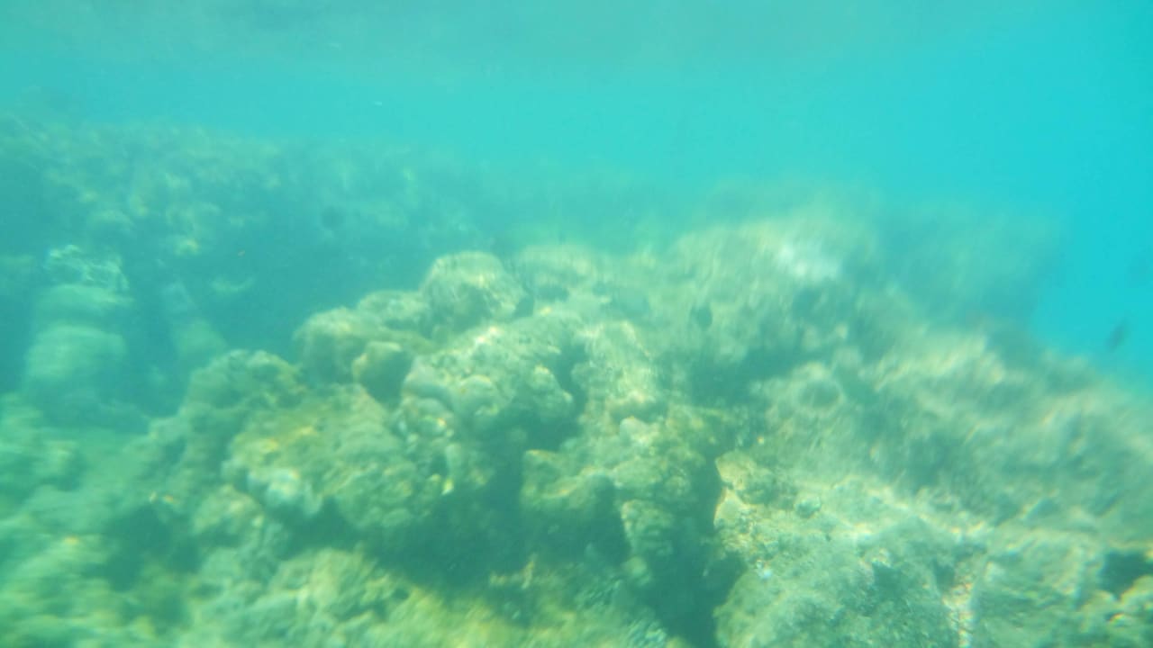 Риф недалеко от берега Desert Rose