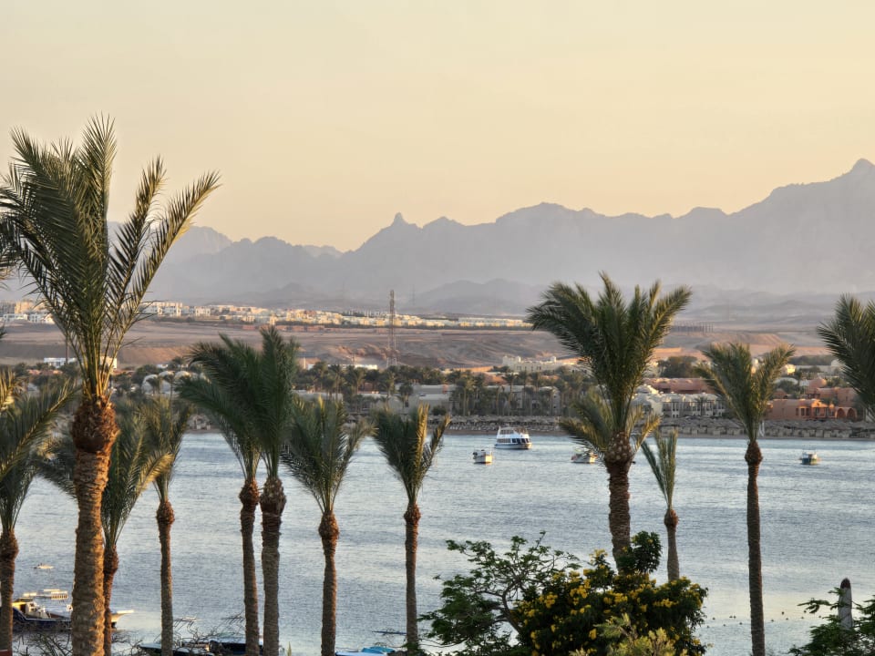 Zimmer Grand Waterworld Makadi & Family Star Makadi