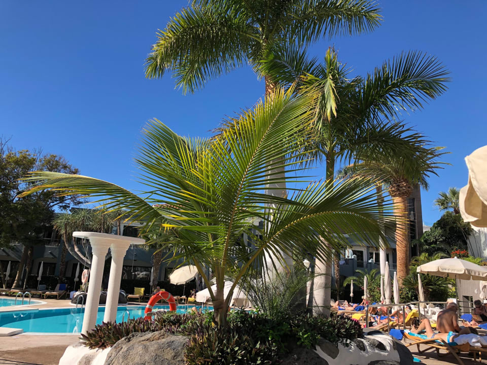 Pool Adrián Hoteles Colón Guanahaní - Adults only