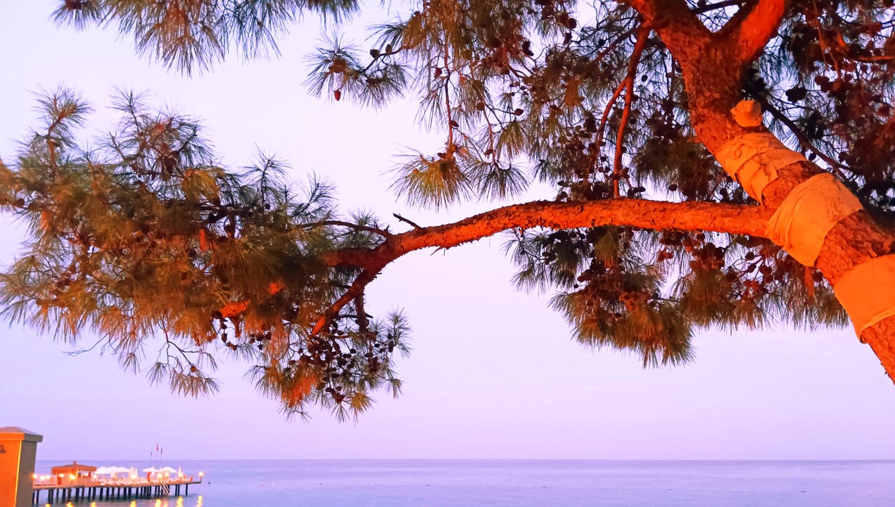 Strand TUI MAGIC LIFE Beldibi +16