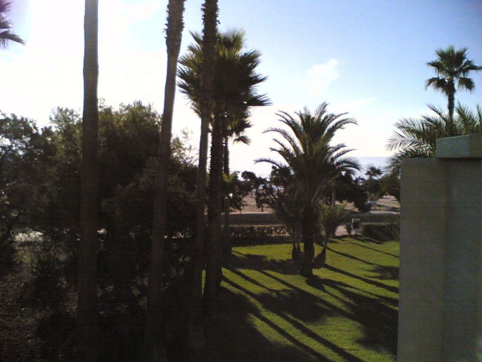 nochmal Terrasse / Strand Hipotels Mediterraneo Club