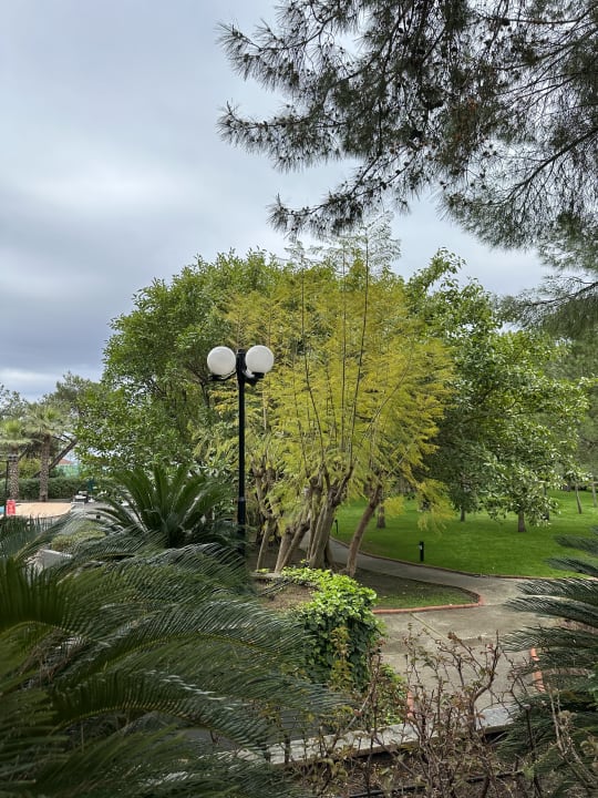 Gartenanlage Balmy Foresta