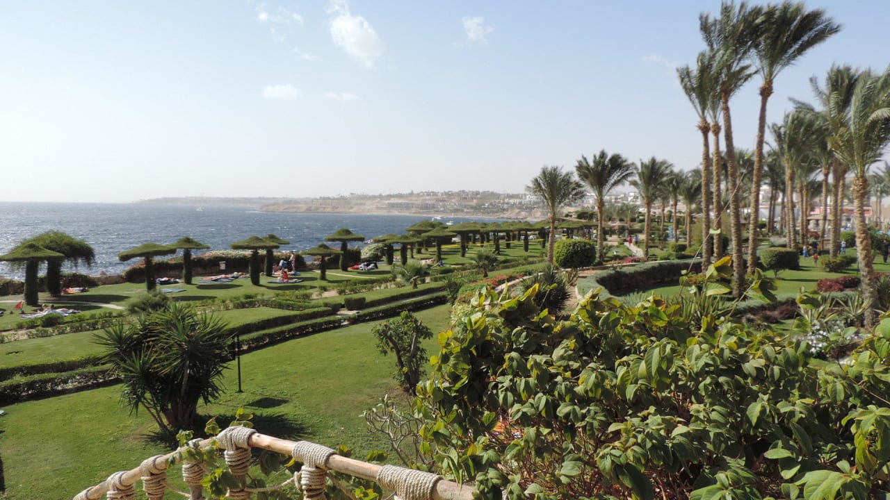 Wahnsinn Siva Sharm