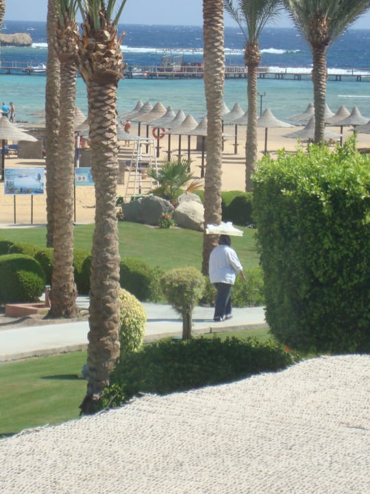 Die Fladenbäckerin hat Dienstschluß Jaz Solaya