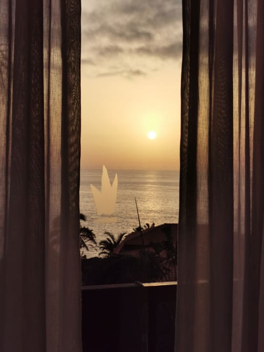 Ausblick La Palma Princess