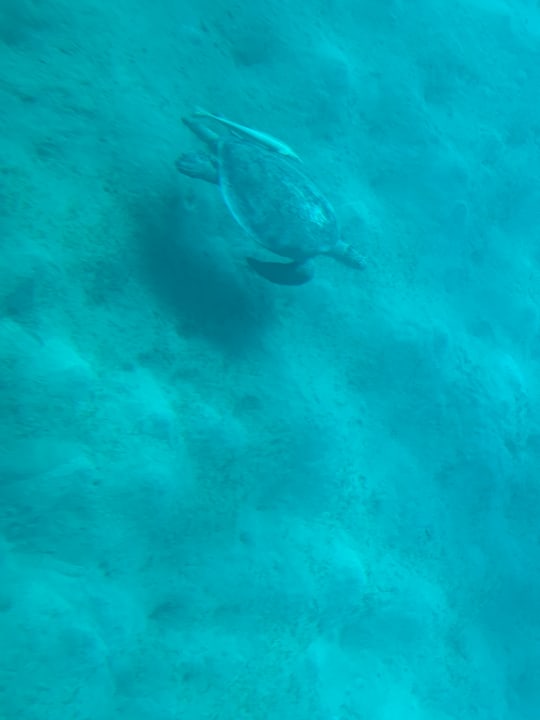 Sport & Freizeit Casa Mare Resort