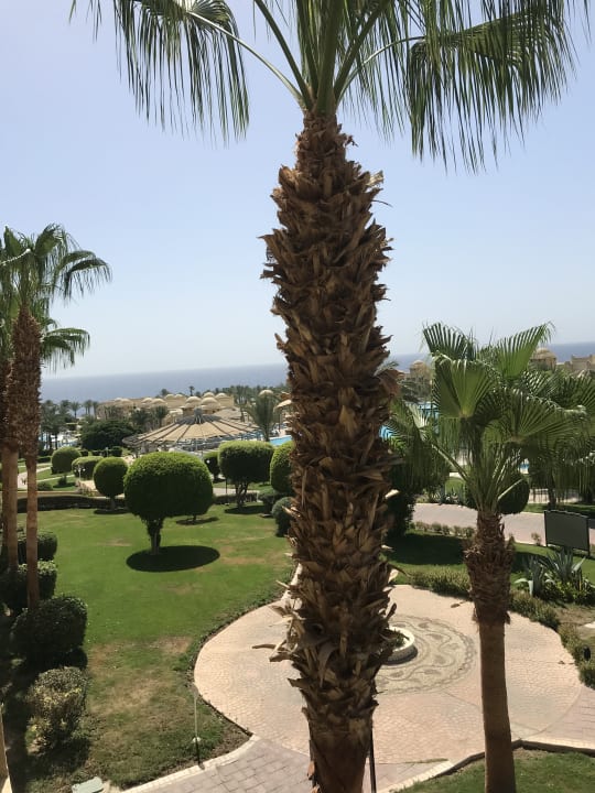 Ausblick Serenity Alpha Beach