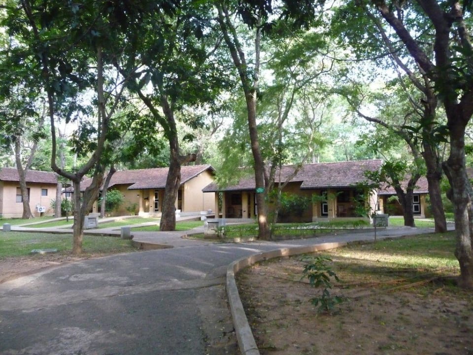 Blick auf die Bungalows Habarana Village by Cinnamon