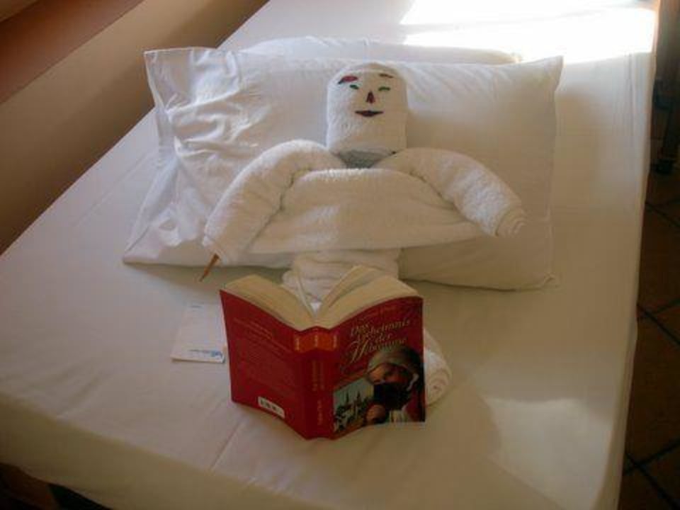 Jeden Tag eine andere Handtuch-Figur Steigenberger Coraya Beach - Adults only