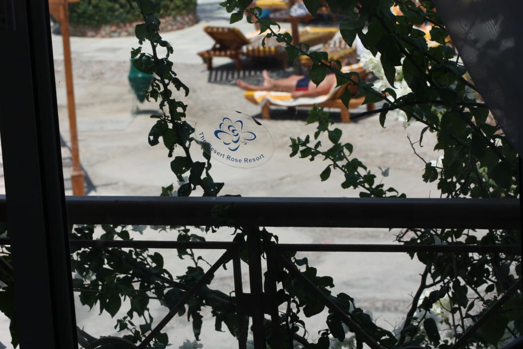 Krzaki dające chłód Desert Rose