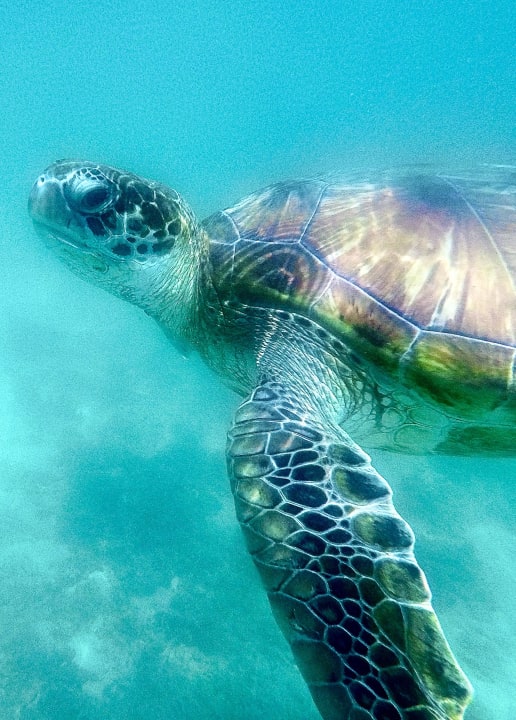 Sport & Freizeit Le Meridien Ile Maurice