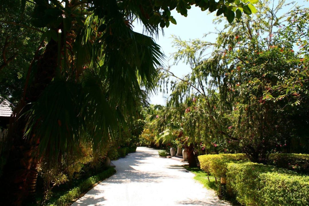 Wege Sun Siyam Olhuveli