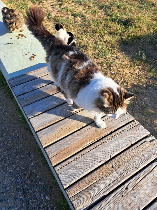 Strand Side Royal Palace Hotel & Spa