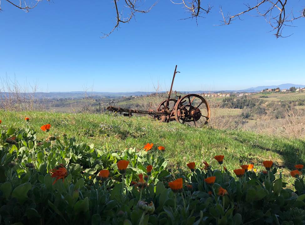 Gartenanlage Podere Casato