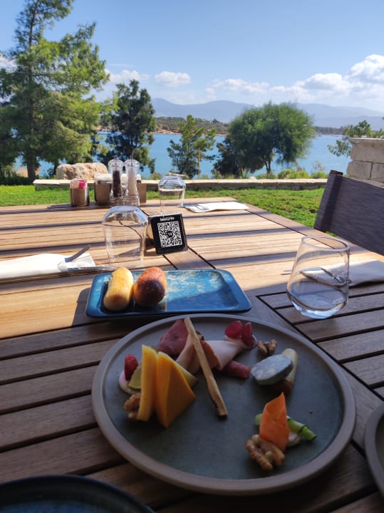 Gastro Anda Barut Collection