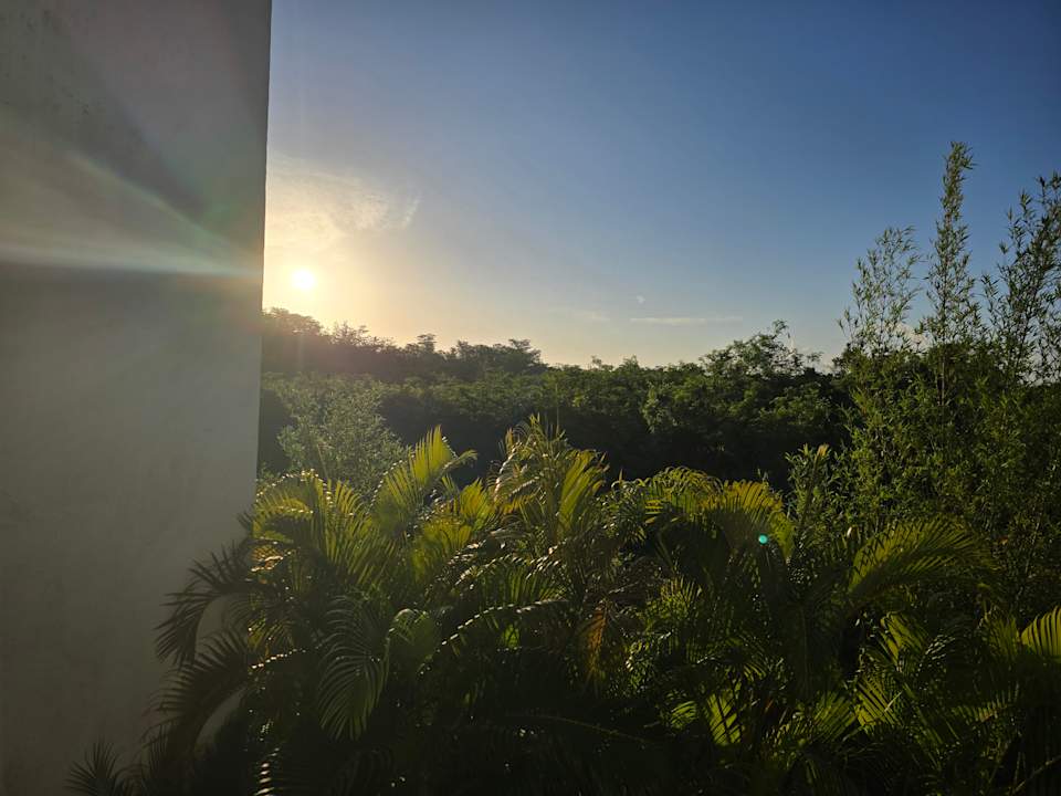 Zimmer Dreams Dominicus La Romana