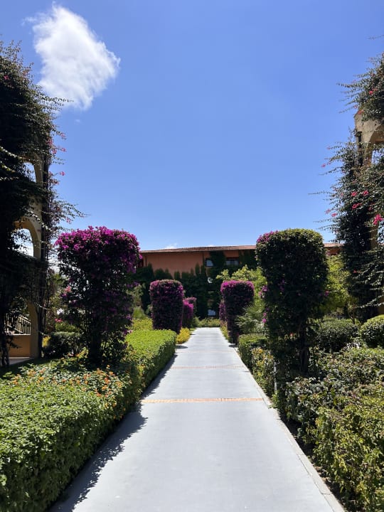 Außenansicht TUI MAGIC LIFE Calabria