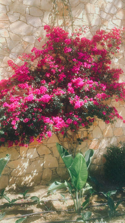 Ausblick Grecotel LUXME Kos